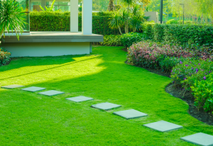 Landscaping