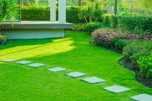 landscaped lawn